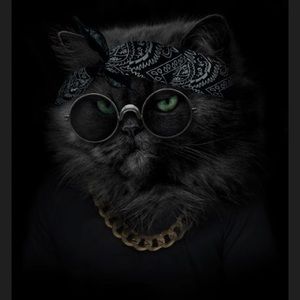 Meet your Posher, Richard